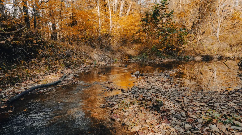 2240 Patty Ridge Road Russell Springs KY 42642
