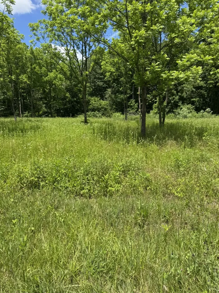 2240 Patty Ridge Road Russell Springs KY 42642