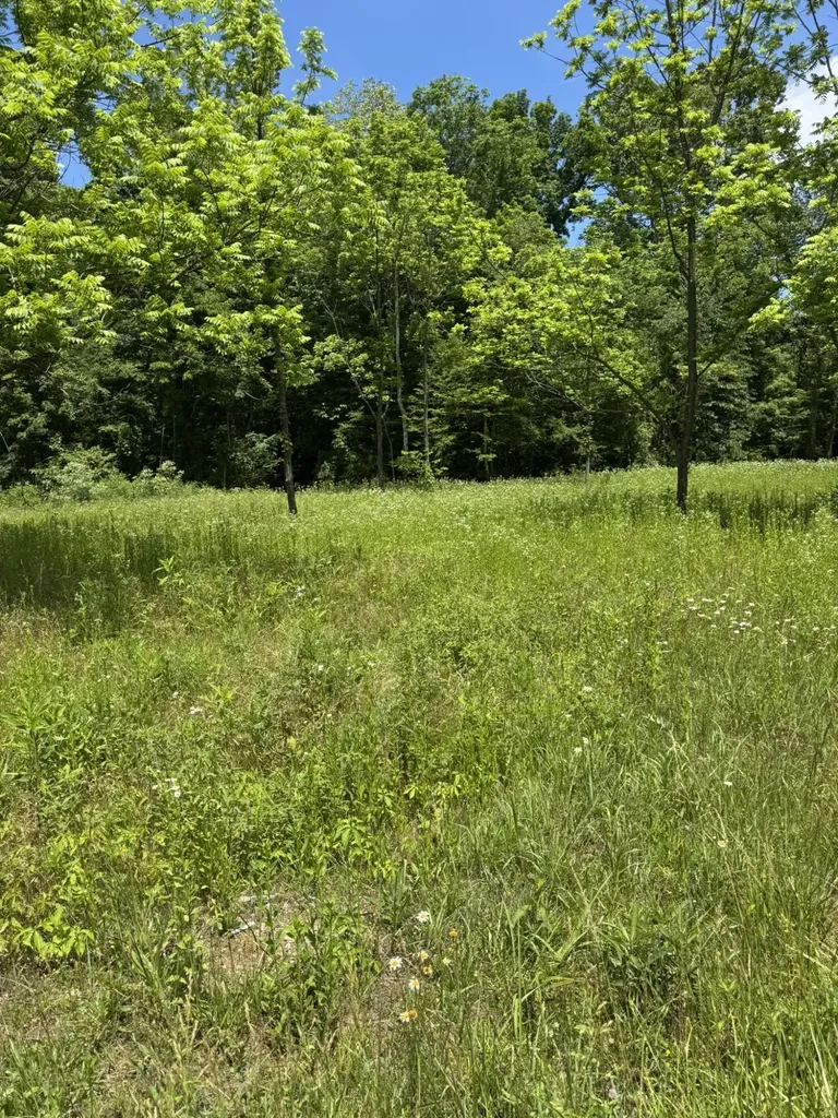 2240 Patty Ridge Road Russell Springs KY 42642