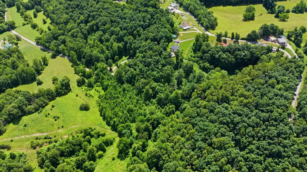 110 Ebon Road Wellington KY 40387