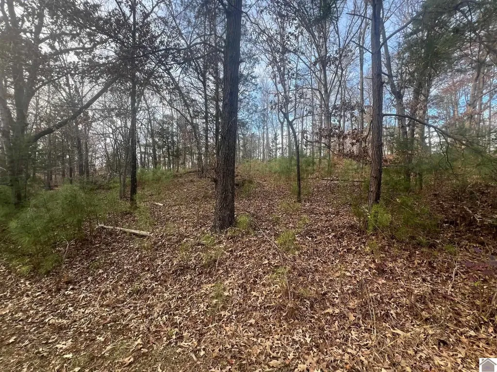 0 0 Steamboat Road Gilbertsville KY 42044