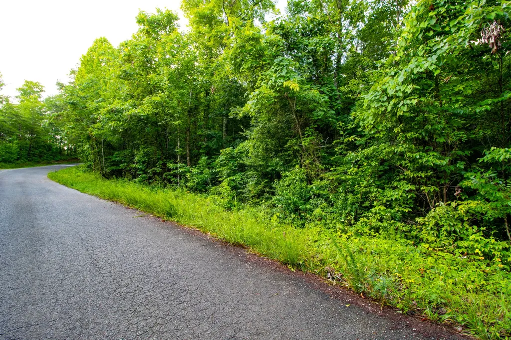 9999 Brooks Road Williamsburg KY 40769