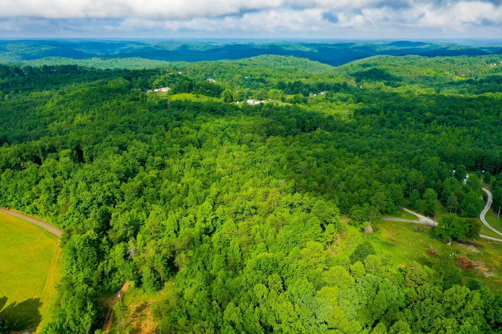 9999 Brooks Road Williamsburg KY 40769