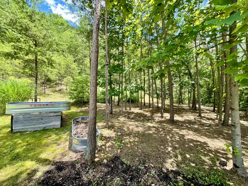 67 Pine Mountain Road Campton KY 41301
