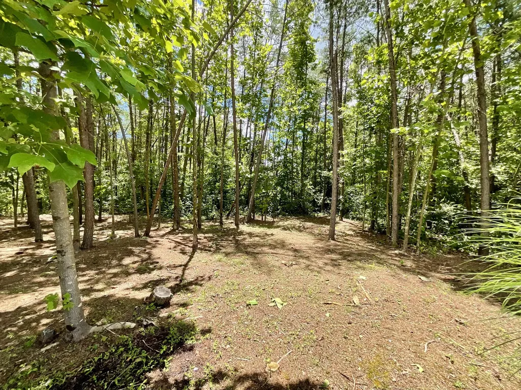 67 Pine Mountain Road Campton KY 41301