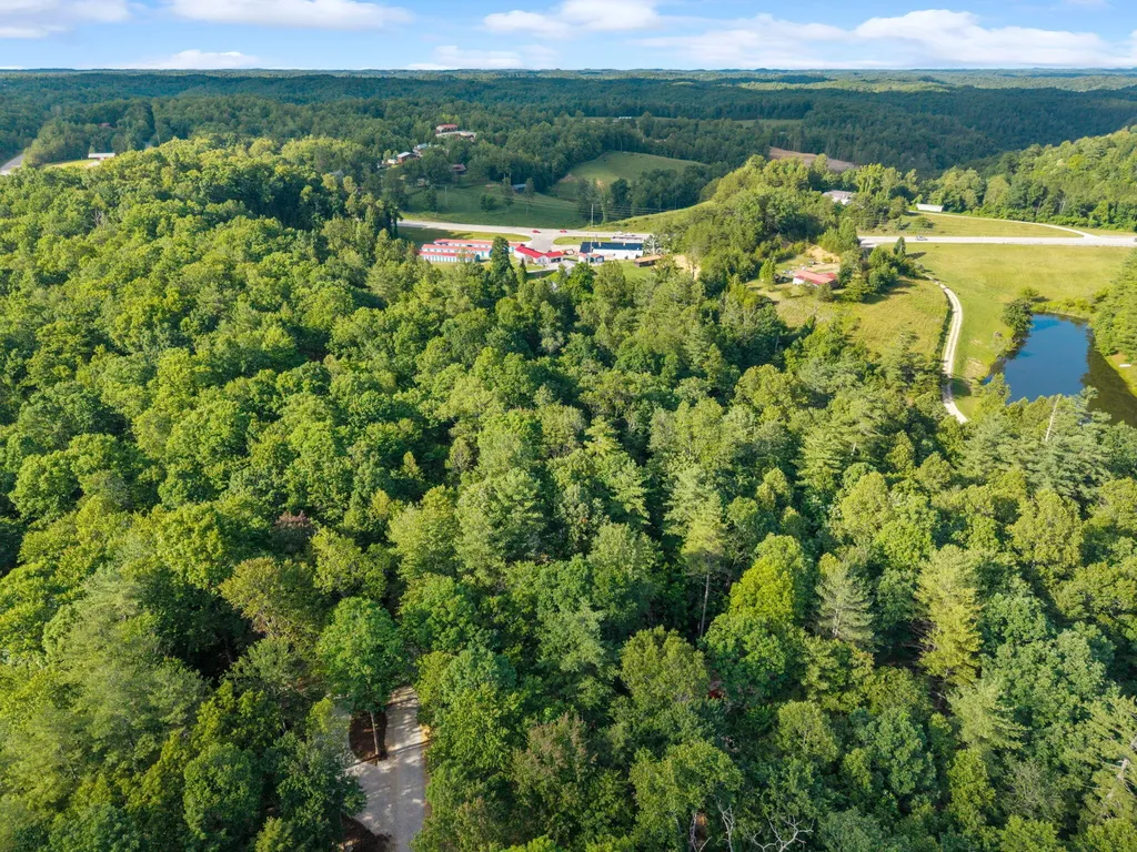 23 Joyful Springs Zoe KY 41397