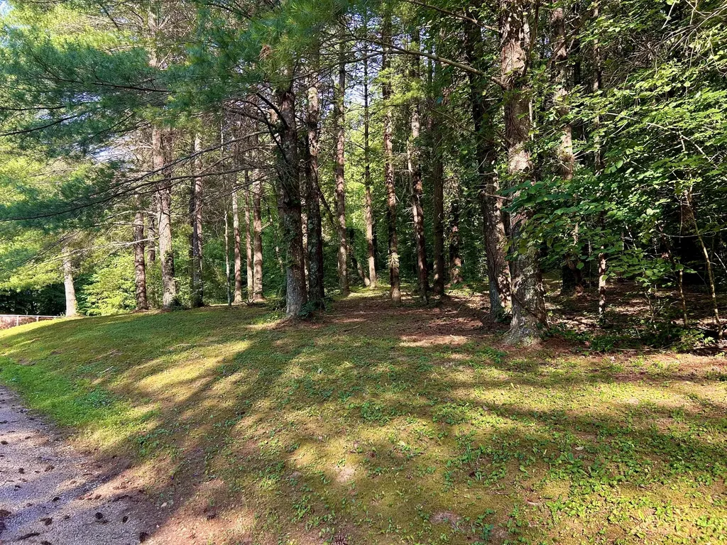 1858 Indian Creek Road Hillsboro KY 41049