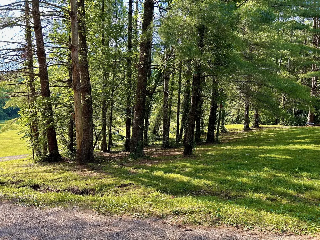 1858 Indian Creek Road Hillsboro KY 41049