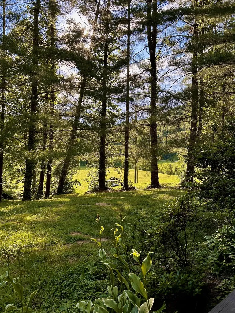 1858 Indian Creek Road Hillsboro KY 41049