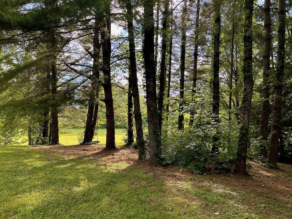 1858 Indian Creek Road Hillsboro KY 41049