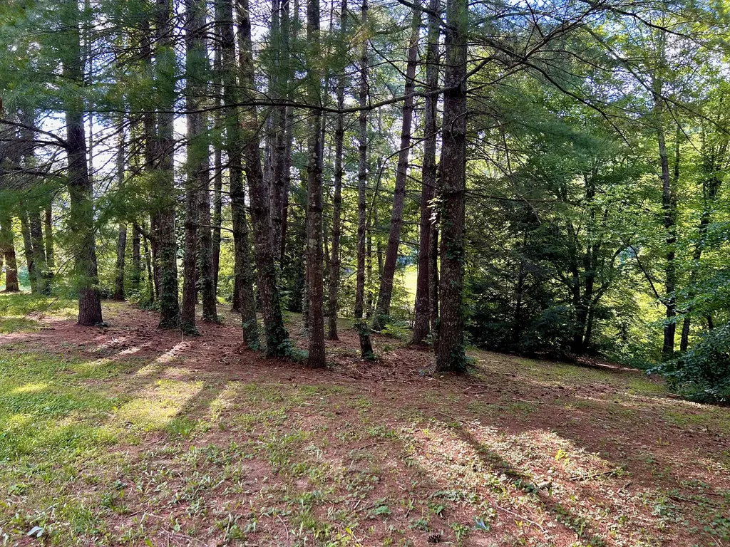 1858 Indian Creek Road Hillsboro KY 41049