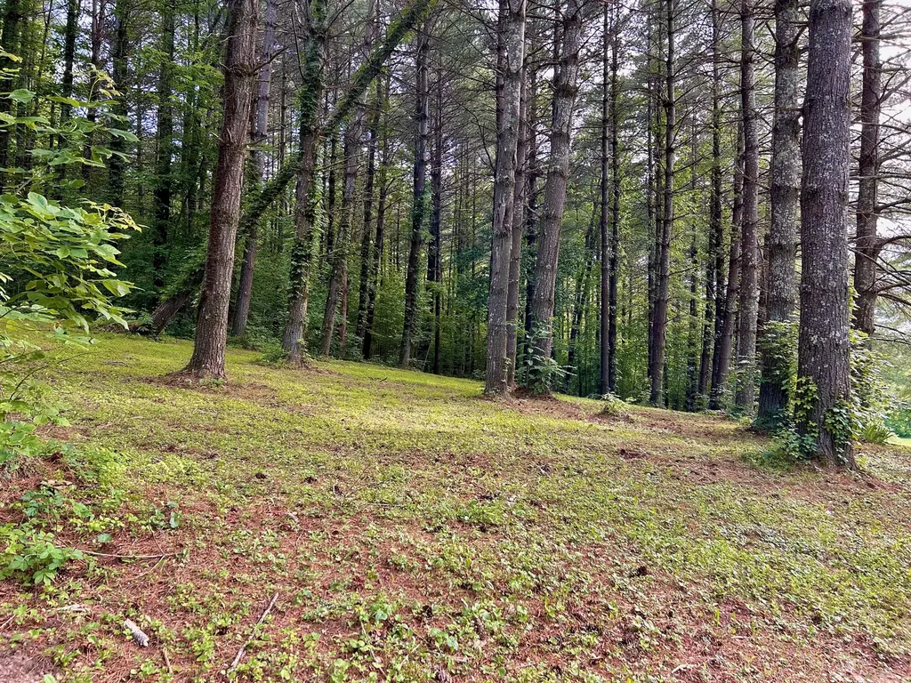 1858 Indian Creek Road Hillsboro KY 41049