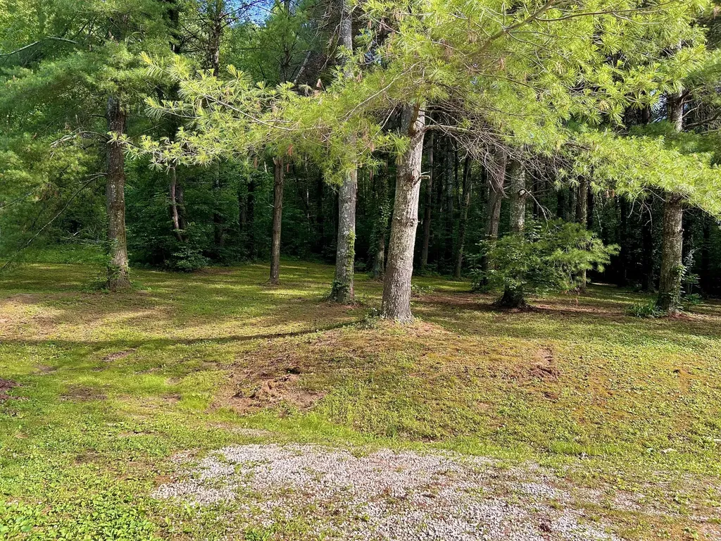 1858 Indian Creek Road Hillsboro KY 41049