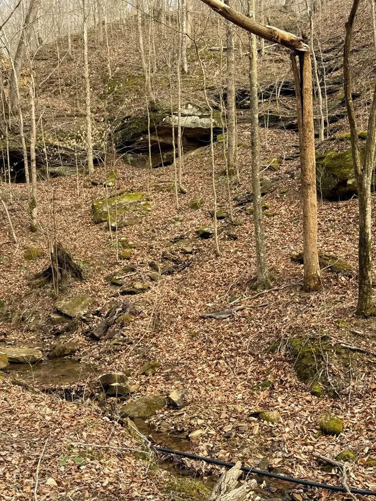 665 665 Craft Creek Salyersville KY 41465