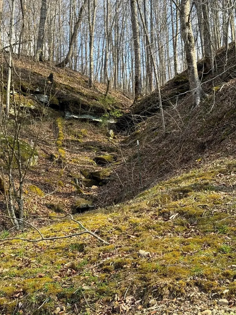 665 665 Craft Creek Salyersville KY 41465