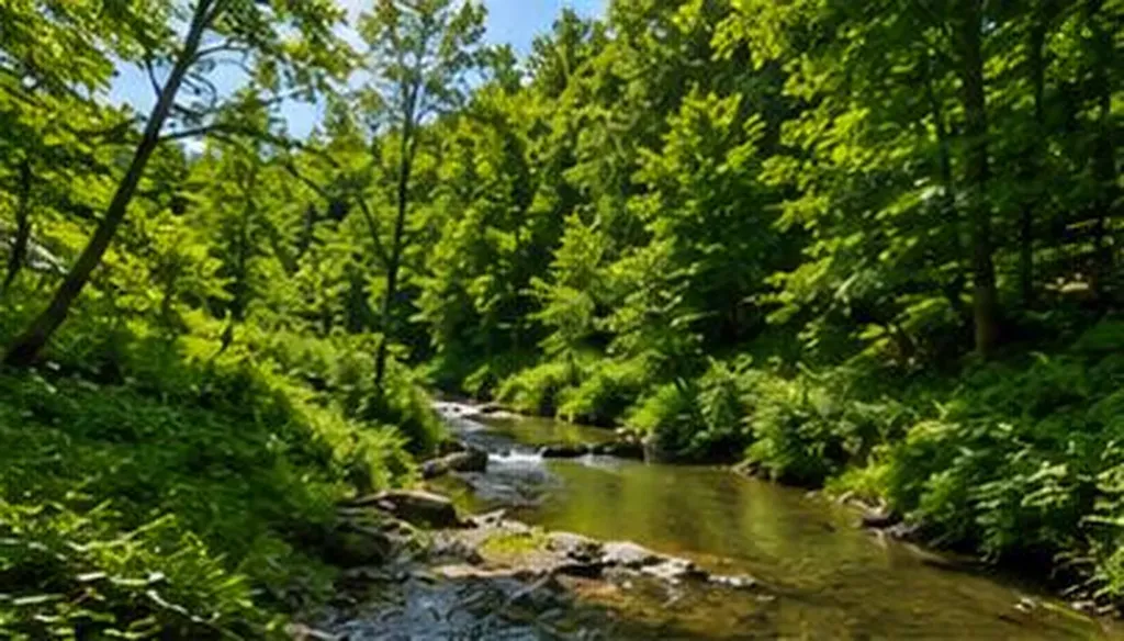 665 665 Craft Creek Salyersville KY 41465