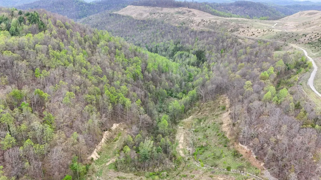 00 Dryfork Road Helton KY 40840