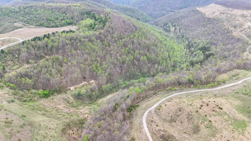 00 Dryfork Road Helton KY 40840