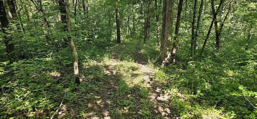 2684 Newby Lane Harrodsburg KY 40330