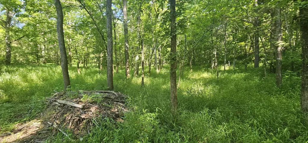 2684 Newby Lane Harrodsburg KY 40330