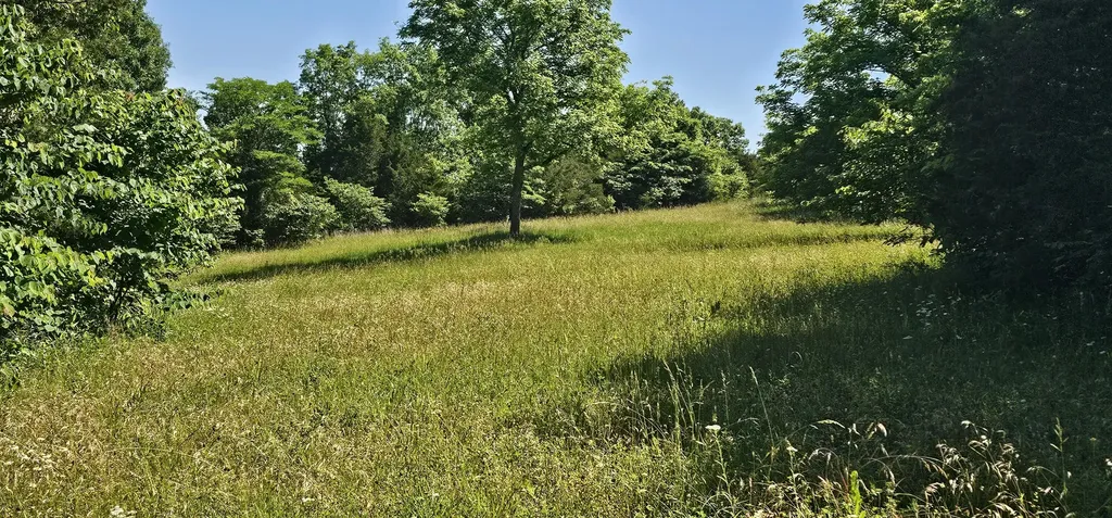 2684 Newby Lane Harrodsburg KY 40330