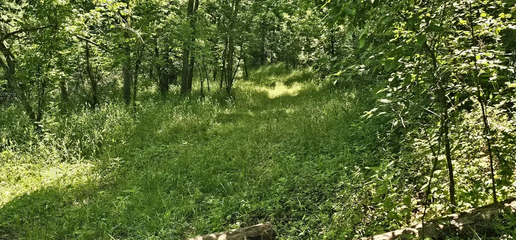 2684 Newby Lane Harrodsburg KY 40330