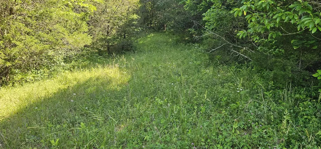 2684 Newby Lane Harrodsburg KY 40330