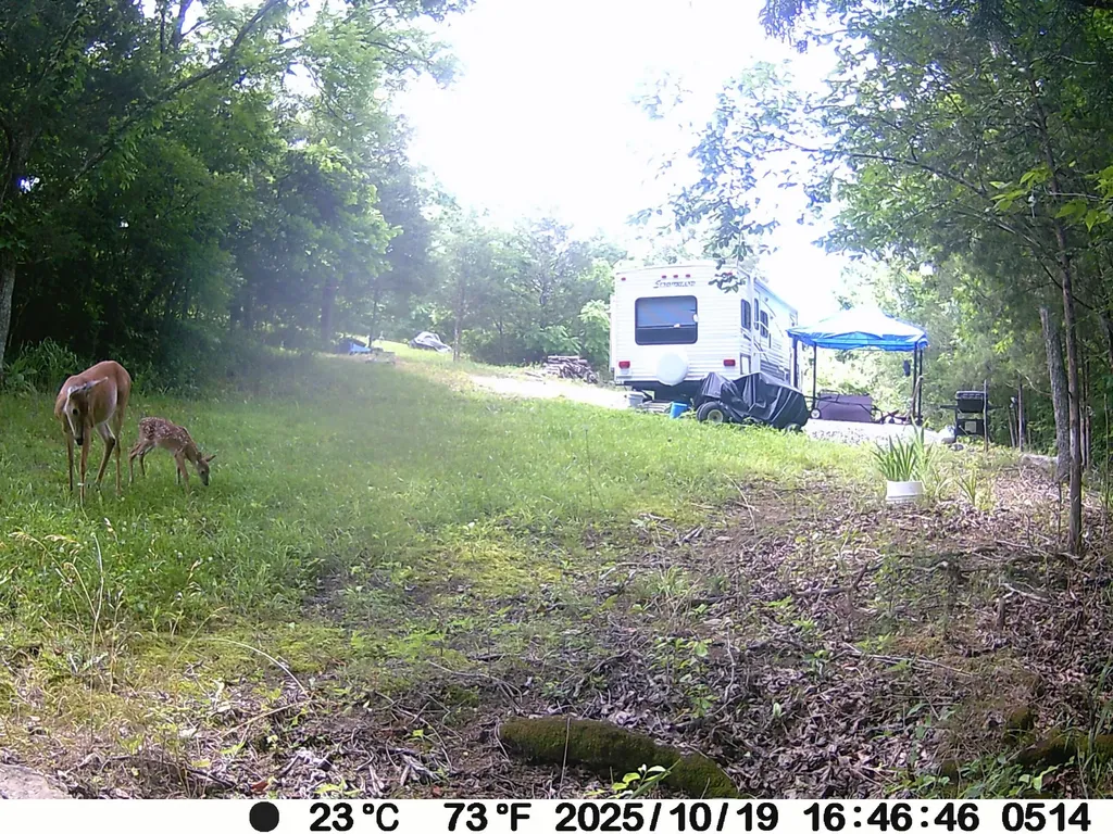2684 Newby Lane Harrodsburg KY 40330
