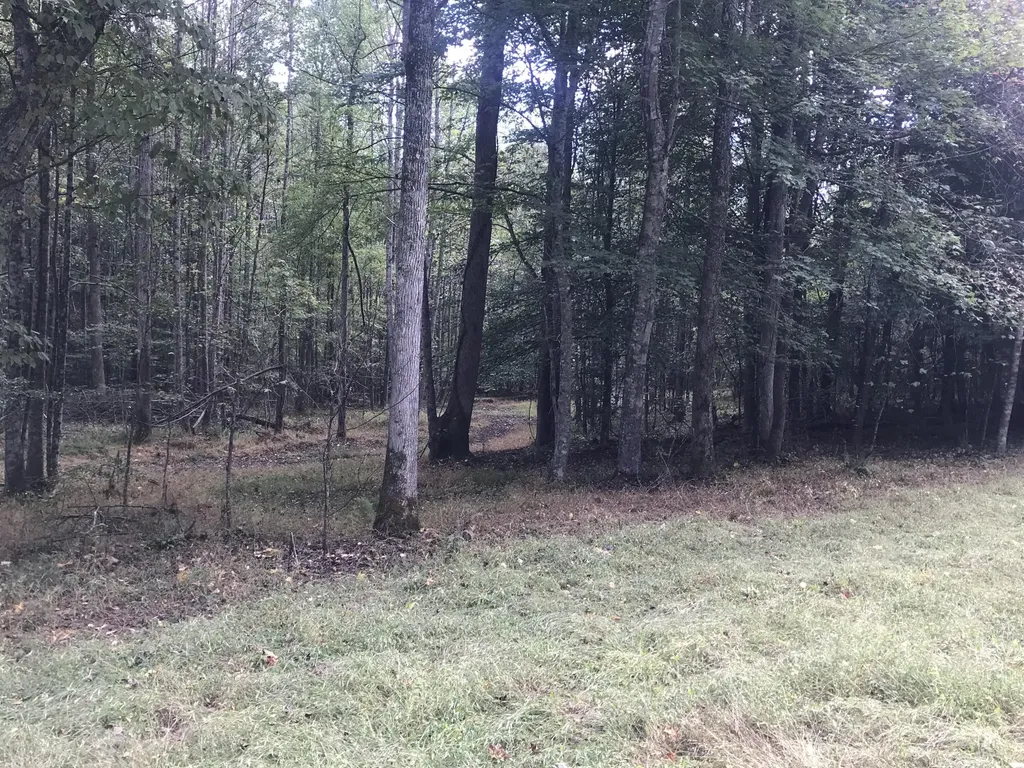 Tbd Farmhouse Trail Morehead KY 40351