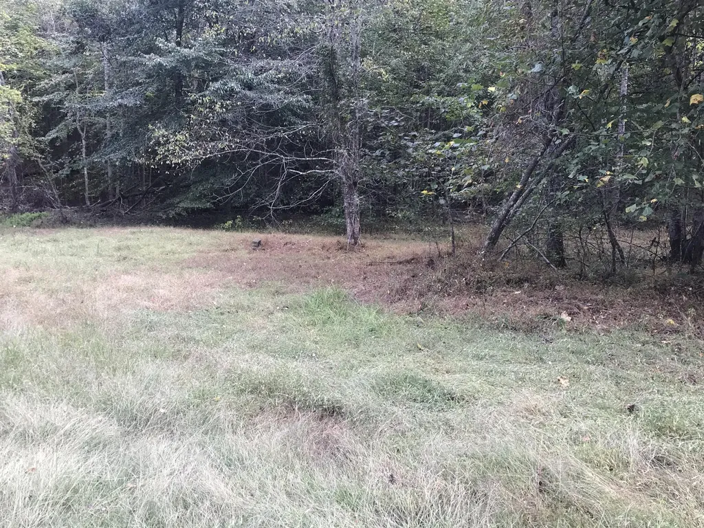 Tbd Farmhouse Trail Morehead KY 40351