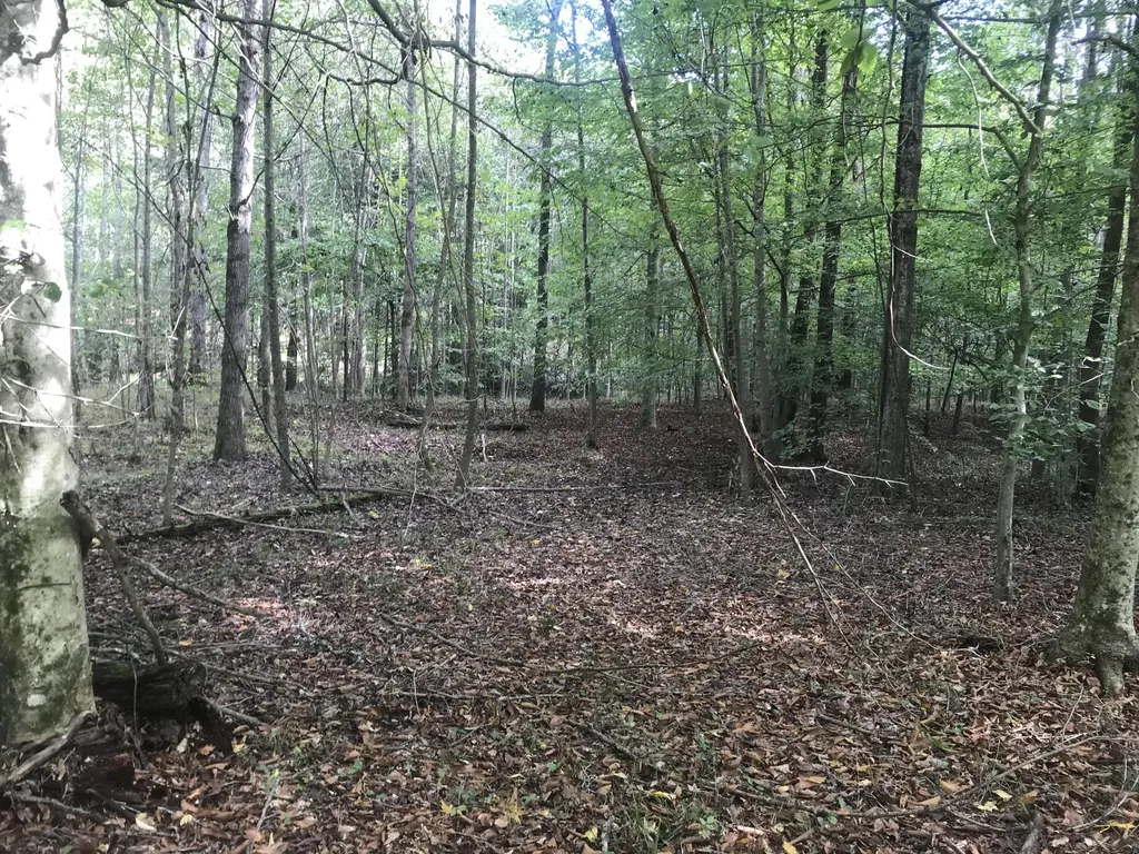 Tbd Farmhouse Trail Morehead KY 40351