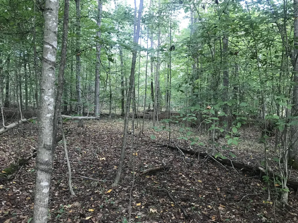 Tbd Farmhouse Trail Morehead KY 40351