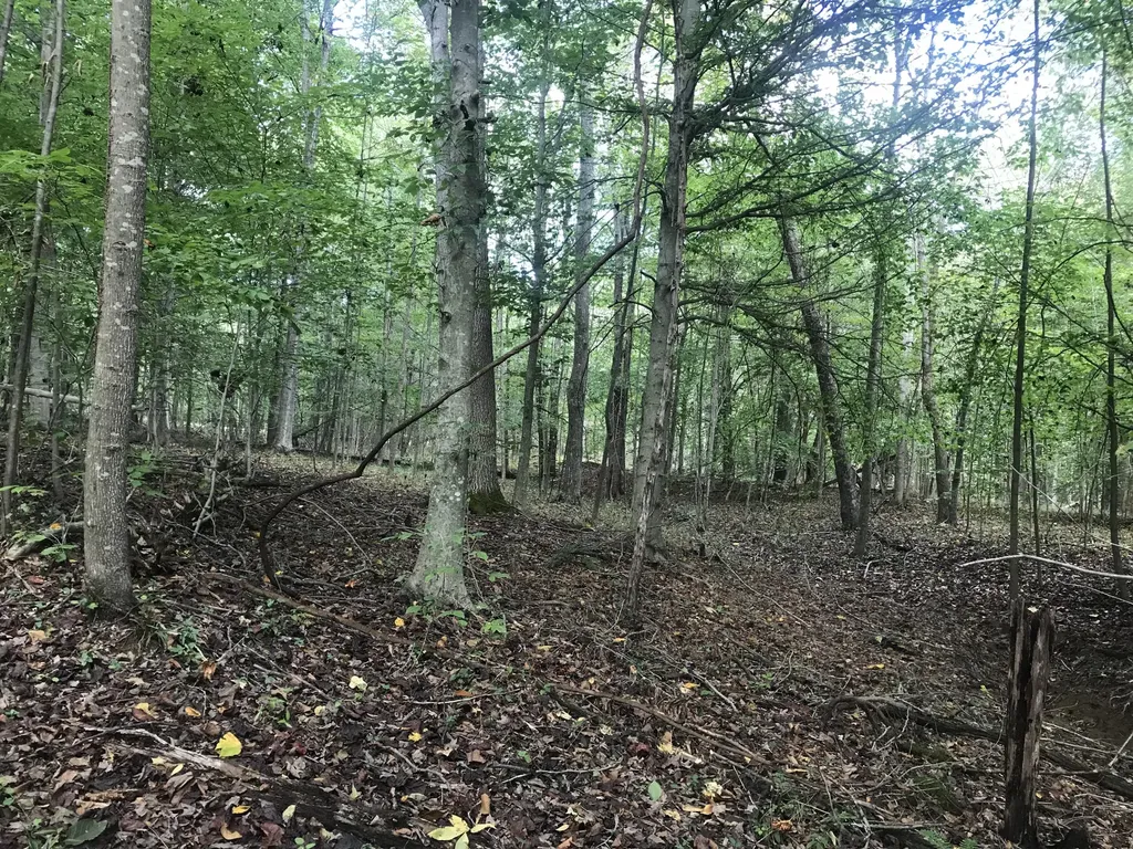 Tbd Farmhouse Trail Morehead KY 40351