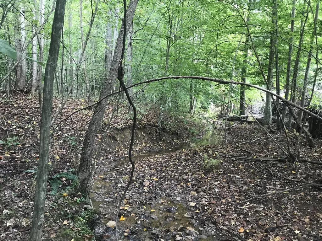 Tbd Farmhouse Trail Morehead KY 40351