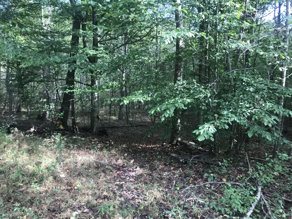 Tbd Farmhouse Trail Morehead KY 40351