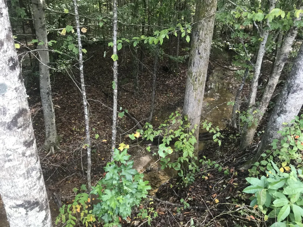 Tbd Farmhouse Trail Morehead KY 40351