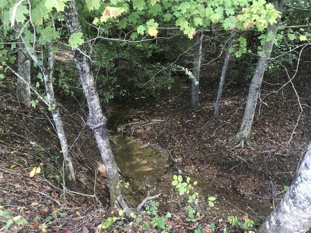 Tbd Farmhouse Trail Morehead KY 40351