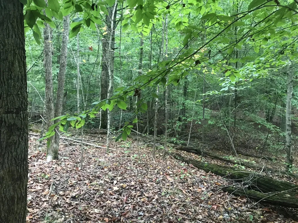 Tbd Farmhouse Trail Morehead KY 40351