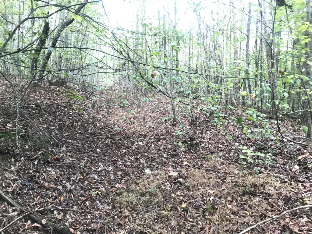 Tbd Farmhouse Trail Morehead KY 40351