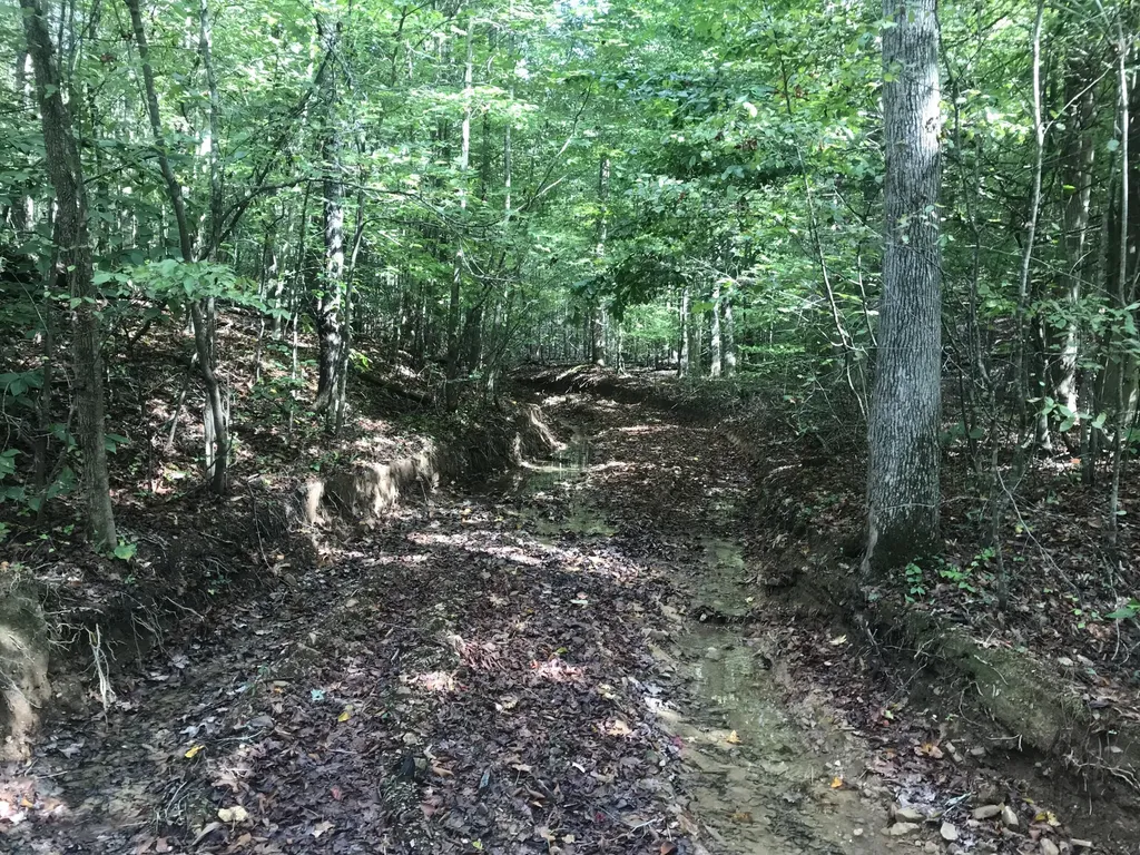 Tbd Farmhouse Trail Morehead KY 40351