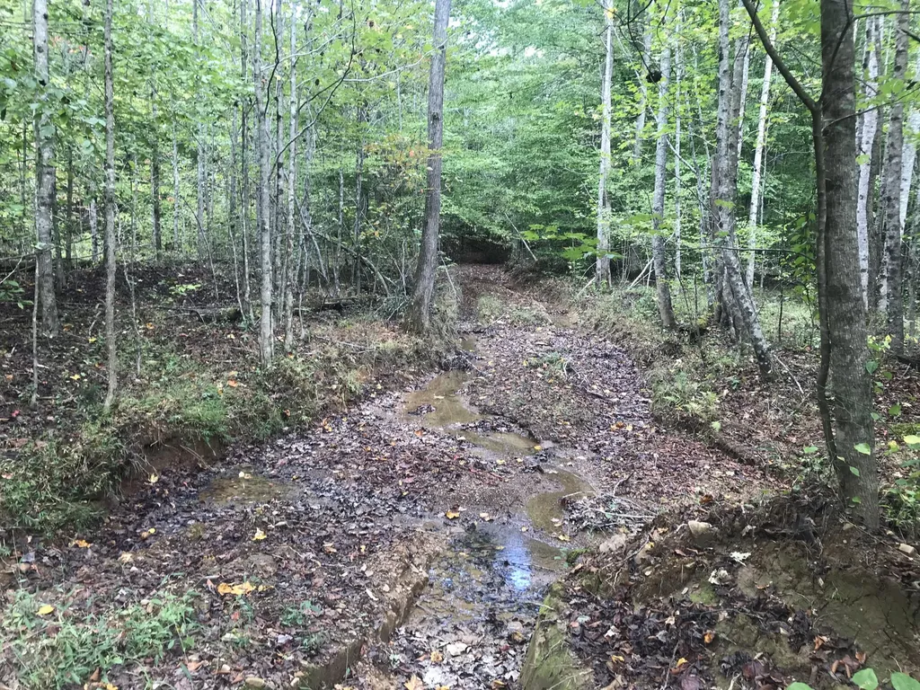 Tbd Farmhouse Trail Morehead KY 40351