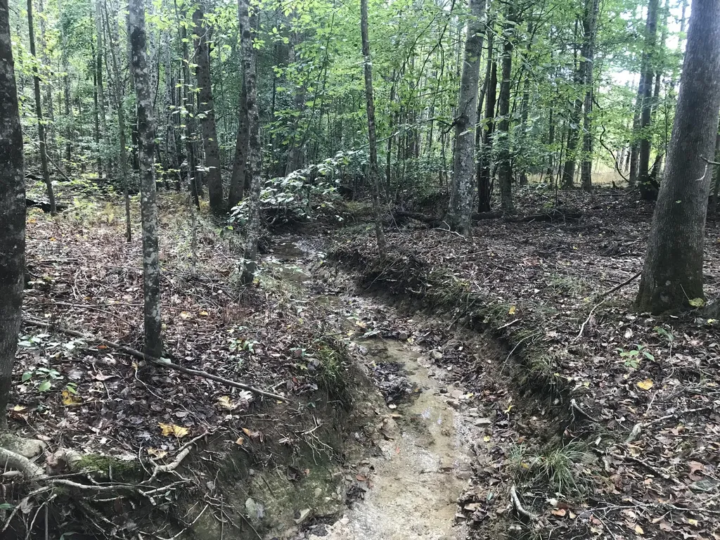 Tbd Farmhouse Trail Morehead KY 40351
