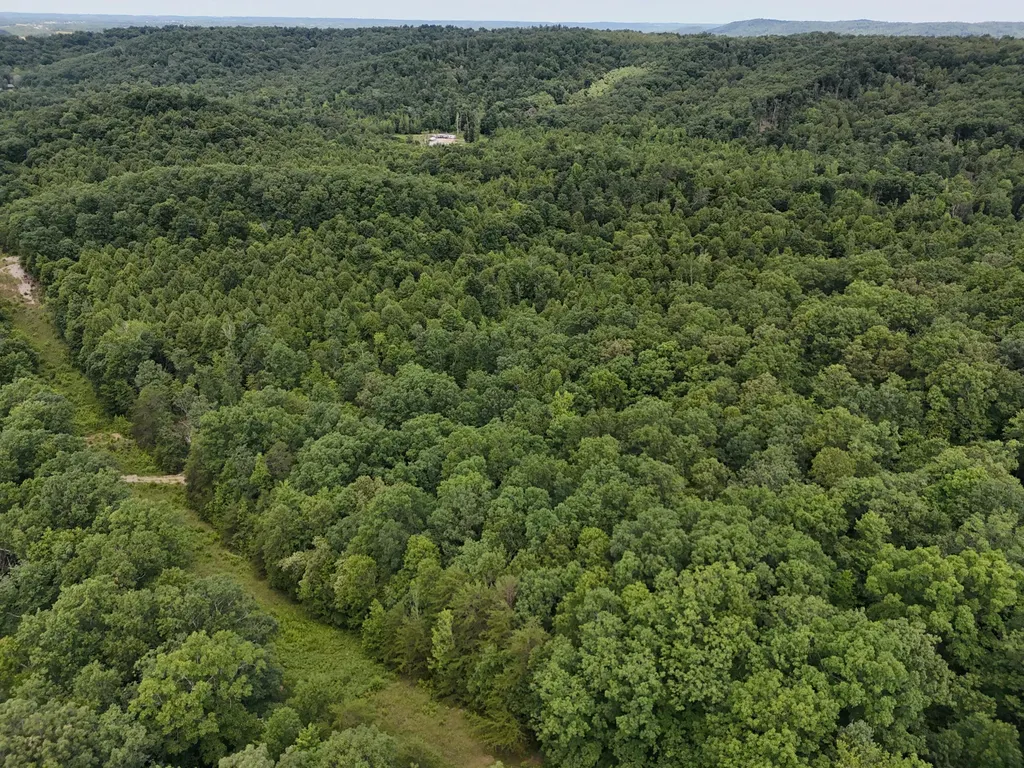 Tbd Farmhouse Trail Morehead KY 40351