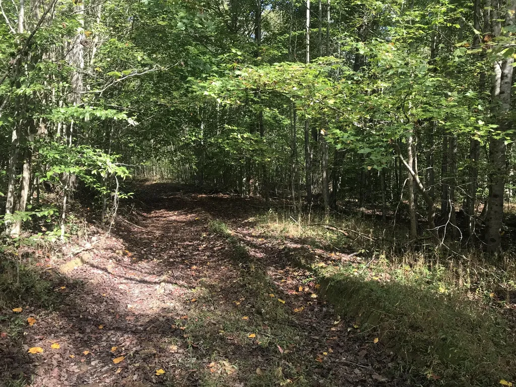 Tbd Farmhouse Trail Morehead KY 40351