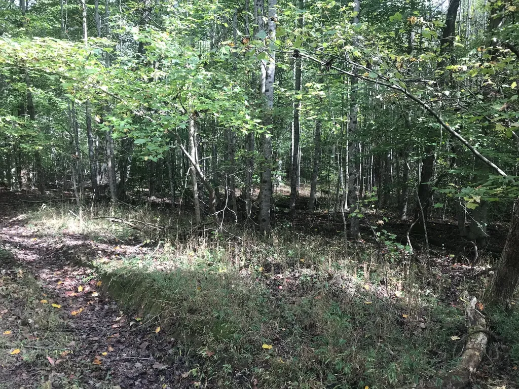 Tbd Farmhouse Trail Morehead KY 40351