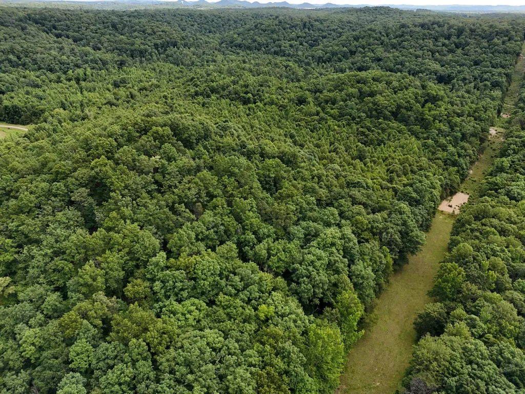 Tbd Farmhouse Trail Morehead KY 40351