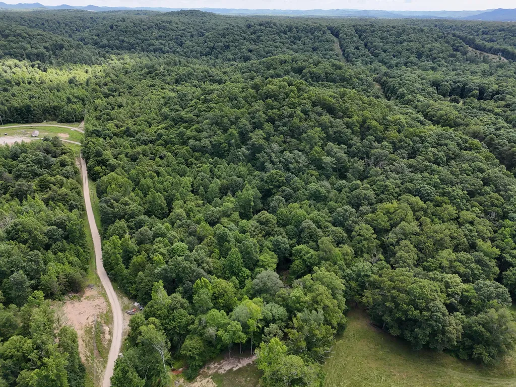 Tbd Farmhouse Trail Morehead KY 40351