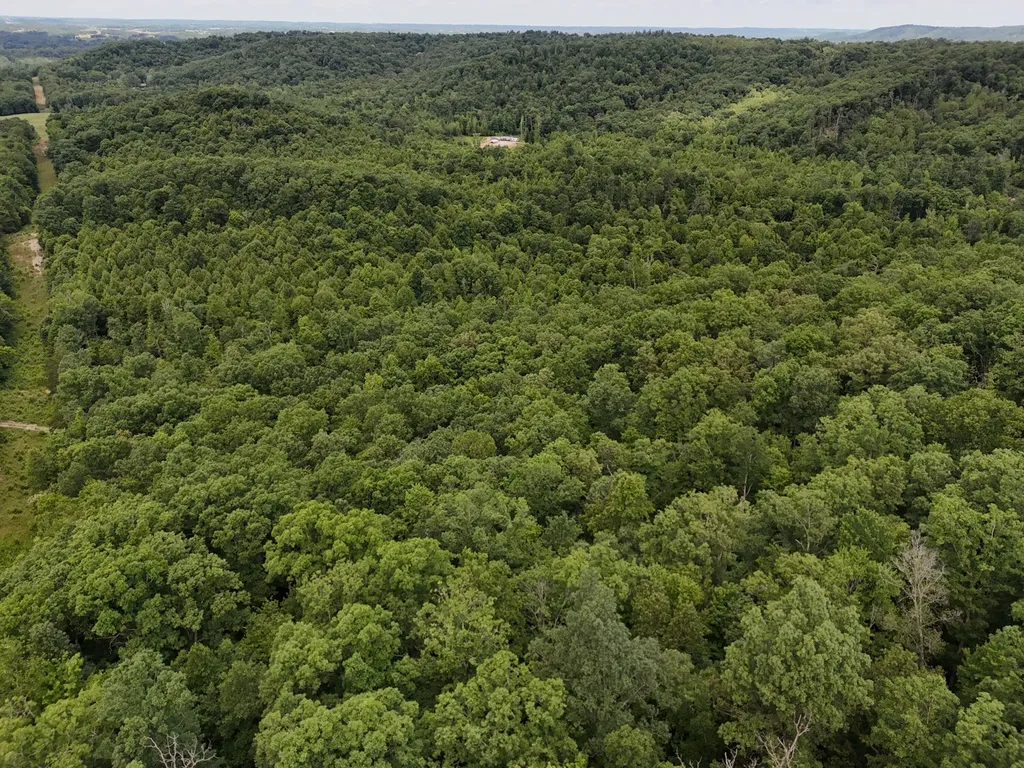 Tbd Farmhouse Trail Morehead KY 40351