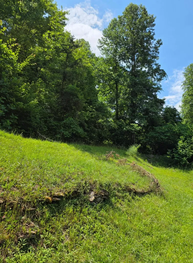 19 Harlan Lane Buckhorn KY 41721