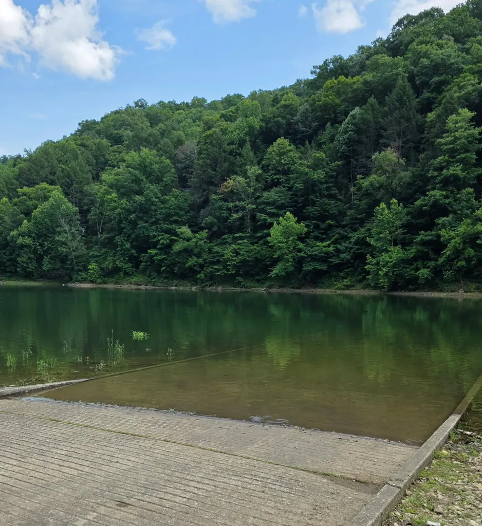 19 Harlan Lane Buckhorn KY 41721
